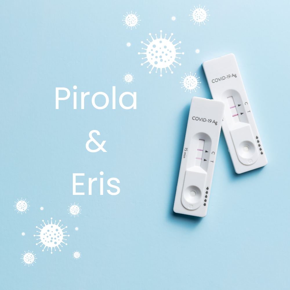 corona-schnelltest-neue-variante-kategorie