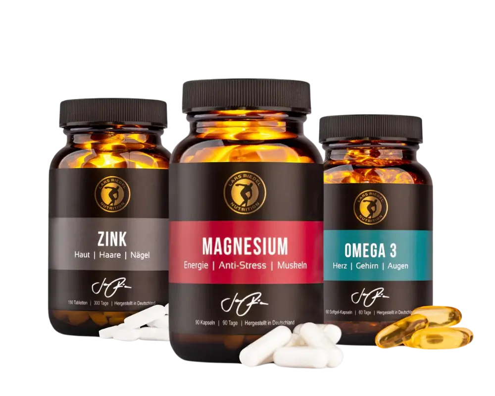 fettstoffwechsel set